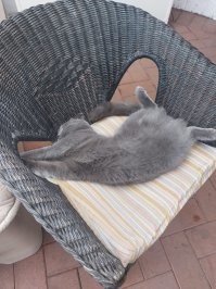 А спать так умеете?)))