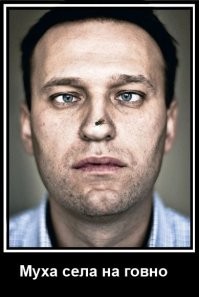 Москвич нашёл действенный способ борьбы с переполненными мусорными баками у своего дома