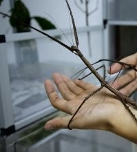 Интересные исторические фото, которые показывают жизнь прошлого лучше учебников