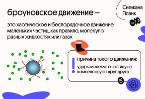 В Новой Зеландии состоялся ежегодный забег джек-расселов