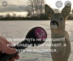 Охотники принесли домой добычу