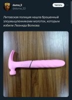 "Лёня, привет, это твой Ростислав!": в сети появилось признание человека, который избил экс-руководителя штаба Навального**