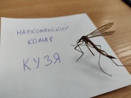 Мы тоже можем в такие миниатюры!