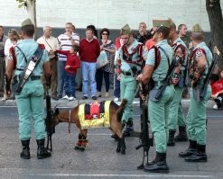 Командир легиона в желтой попоне