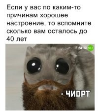 Мне до сорока осталось изобрести машину времени...