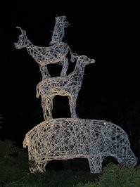 Ну  и я добавлю историческое фото. Нераспиаренное всемирно, но очень такое... историческое.
 Это фотография  зоотехника Владимира Полонского верхом на бегемоте Гансе. Бегемот был одним из  выживших после штурма Кёнигсбергского зоопарка. Его нашли в канаве на окраине зоопарка, оголодавшего и раненого, с семью пулями в теле. Полонский вылечил, организовал кормление и вернул Гансу желание жить. Вот его дневниковая запись: " Удалось спасти бегемота. Не отходя от него через 21 день, пройдя 1 мес. и 19 дней, я добился полного здоровья и сейчас занимаюсь дрессировкой бегемота   катание верхом на бегемоте по парку и т. д"
 На втором фото скульптура в Калиниградском зоопарке в память о тех выживших в страшных боях животных лань, барсук, осёл и раненый бегемот Ганс.