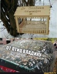 Кормушки для особенных птичек