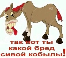 "Я сразу подумала, что меня похитили": пользователи вспомнили эпичные моменты из путешествий