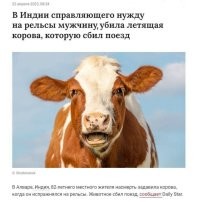 Индия не перестаёт удивлять.