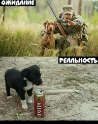 Я за правильную охоту. Когда ей охота, тебе охота. Вот это охота!