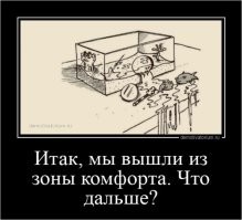 Кот не хочет выходить из зоны комфорта