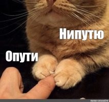 Из этого пошло