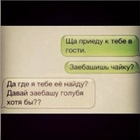 Лёгкий способ поймать голубя