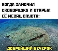 Продолжаем барражировать соцсети