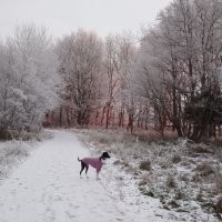 Вот мои фото зимой. Заверяю что никаких фильтров. Не умею ими пользоваться. Просто гуляли. Вот такой нежно розовый закат был. А бывает огненный, яркий.