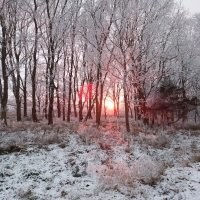Вот мои фото зимой. Заверяю что никаких фильтров. Не умею ими пользоваться. Просто гуляли. Вот такой нежно розовый закат был. А бывает огненный, яркий.