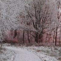 Вот мои фото зимой. Заверяю что никаких фильтров. Не умею ими пользоваться. Просто гуляли. Вот такой нежно розовый закат был. А бывает огненный, яркий.