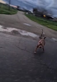 Они явно подожгли там что-то и пытались избавиться ещё от одного свидетеля.
