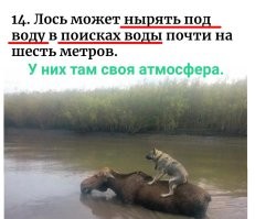 Удивительнык факты, в которые сложно поверить