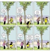 Древолаз: профессия и призвание