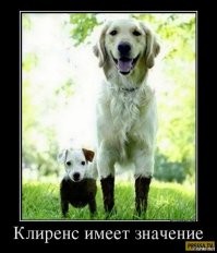 19 собак, которых хлебом не корми, дай как следует вываляться в грязи