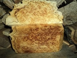 Никакой это не улей! Это капа на дереве. Нарост, болезнь древесины. Но при правильной обработке и шлифовке получается неимоверная красота. Мастера, работающие с древесиной ценят такое и делают поразительные вещи.