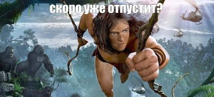 Неадекватный мужчина без штанов перелез с балкона на дерево