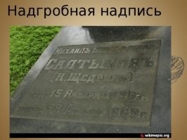 Тут ключевое, как вы правильно подметили, что Щедрин не как в двойной фамилии типа Бонч-Бруевич, и не как прозвище, дополнившее фамилию как, например, Д.Н. Мамин-Сибиряк, и не как дополнение для весу у иностранцев, "для понта" у Н.Н. Миклухо-Маклая, а литературный псевдоним. 
Некое альтер эго.

Почему Н.Щедрин. Так на могиле написали. Современникам виднее.

П.С. Как обычный советский школьник, всю жизнь думал, что "Салтыков-Щедрин" :)