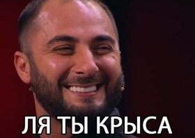 Кот ограбил своего сородича