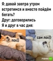 - Пох?!
- Пох!
