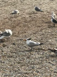 25 любопытных картинок с просторов Интернета