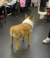 Стоп-кадр