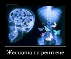 15 актуальных тем с женских форумов