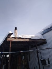 Вот наша е.банаша!