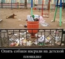 Жильцы против собачников: в общедомовом чате свои войны