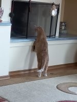 Тяги нет.
Осиной бы прожечь.