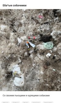 Жильцы против собачников: в общедомовом чате свои войны