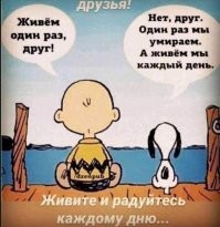 Не ищите здесь смысл. Здесь в основном маразм