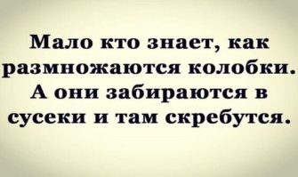 Поехавшие обложки, которые реально существуют