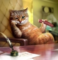 Задумчивость и её котовариации