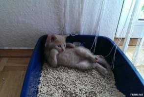 Вот, тоже задумался о бренности бытия!