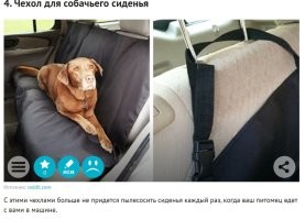 Накидка на сидение,когда везешь собаку - круто,никто до такого ещё не додумался..