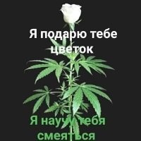 С Днём дураков!