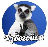 Дополню полноту картины