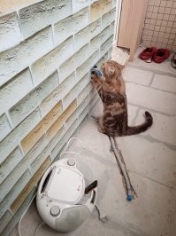 Франц Петер Шуберт ("Шуба") помогает мне монтировать теплый пол на лоджии