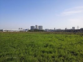 Если не ликвидирован, то как к нему проехать? И что можно там купить?

"На громадной территории бывшего Черкизовского рынка мало что построили. Есть только здание торгового центра меха, вот как раз с моста рядом с ним идет развязка. 
Рядом с ТЦ построили новые платформы вокзала Восточный, который буквально на днях открыли.
Правда, я сфоткала лишь платформу, думала электрички бегать будут, а оказывается это платформа от вокзала свежепостроенного. Платформа видимо, проходит под мостом и выходит к МЦК "Локомотив"-теперь вместе с метро и станцией МЦК образует железнодорожный пересадочный узел Курского направления и разгружает одноименный вокзал. Для Собянина повод гордится, что хотя бы у одного вокзала есть выход на МЦК.
Пути нового вокзала частично может и проходят по территории бывшего рынка, но насколько я помню, рынок все таки был левее .
А кроме путей и ТЦ торгующего мехом, там больше ничего не построили на месте Черкизовского рынка.
Вот так сейчас выглядит Черкизовский рынок почти 10 лет спустя после того, как его снесли. Просто огороженное забором поле.
На фото видны гостиницы у метро Партизанская, Измайловский кремль."