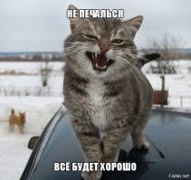 Питомец пытается сохранить позитивный настрой