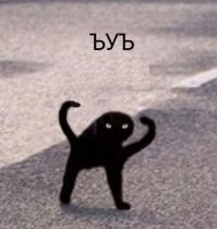 почему нет?