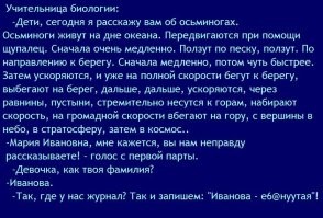 Река из рыб