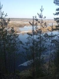 Из личных фотографий: 2  марта  2024, под Борисовом (Белоруссия)
 До свидания Зима...